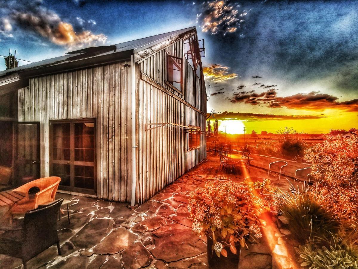 Bed and Breakfast Housewithnonails Matamata Exteriér fotografie